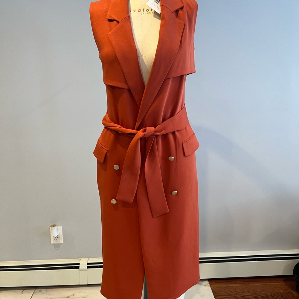 Lavish Alice Terracotta Sleeveless Jumpsuit
